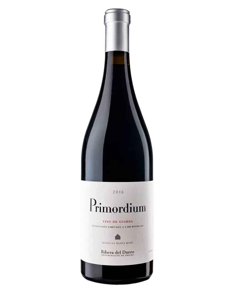 Primordium