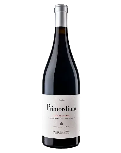 Primordium